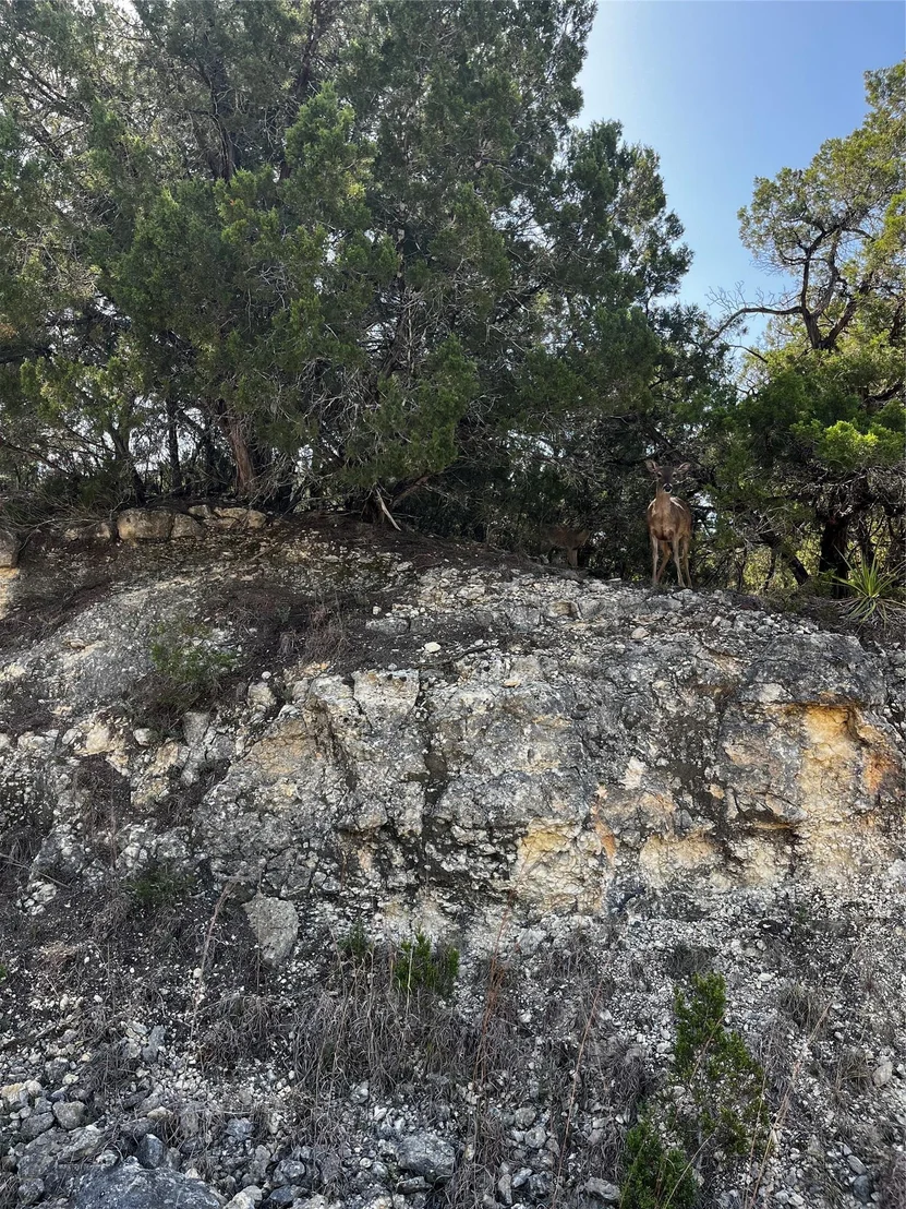 Photo of 20807 North RDG