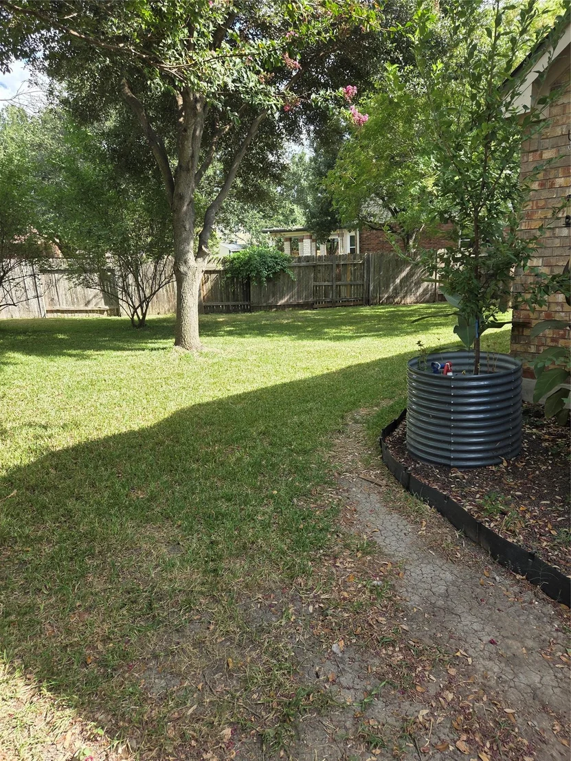 Photo of 2102 Spotted Owl CIR