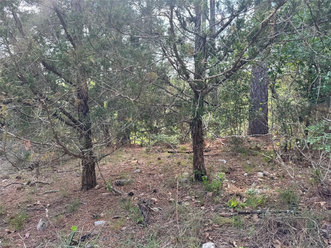 Photo of Lot 1263 Hanauma DR