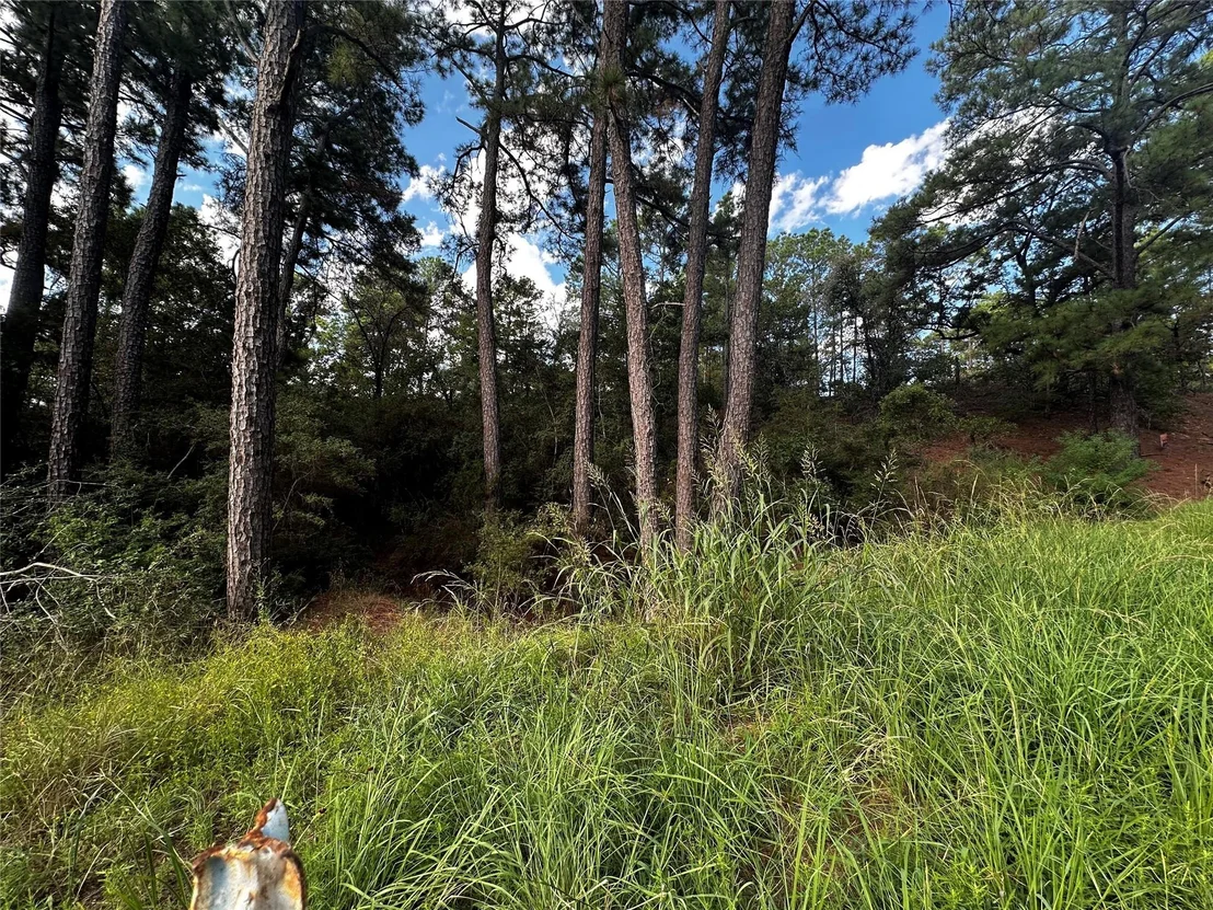 Photo of 145 Lamaloa DR