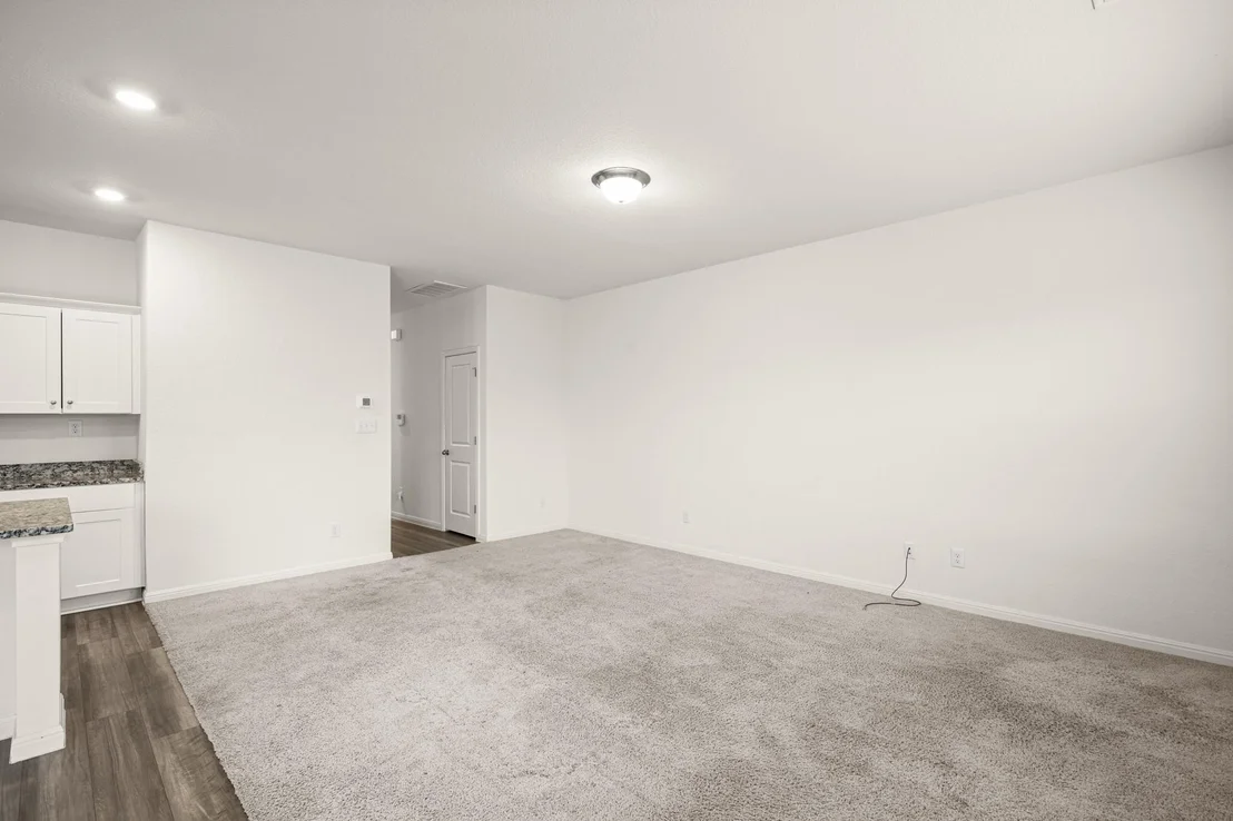 Photo of 109 Gray Fox LOOP