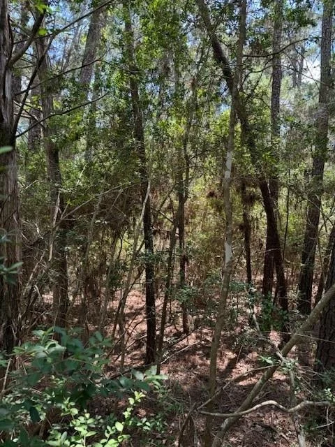Photo of Lot 250 Hekili DR