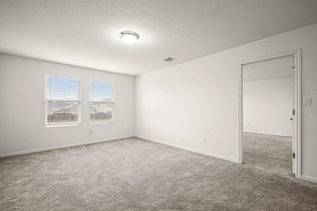 Photo of 109 Gray Fox LOOP