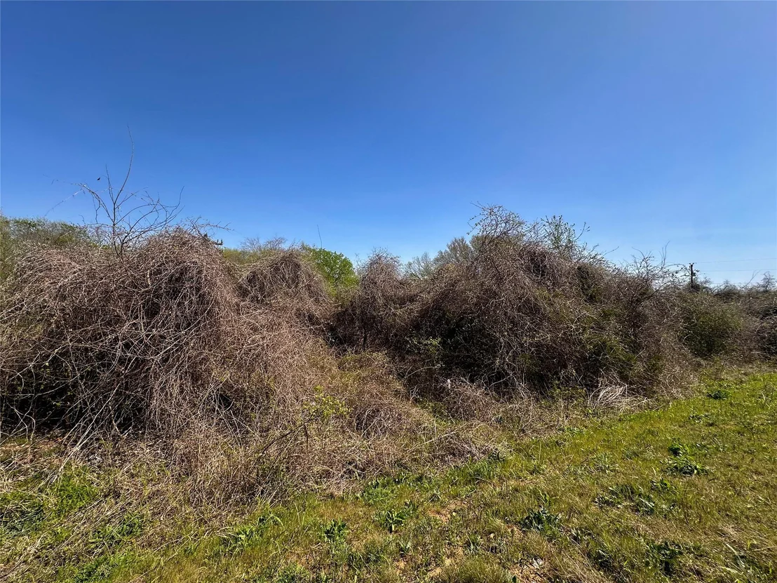 Photo of 100 Paia LN
