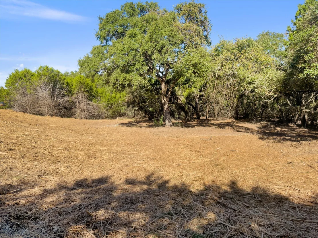 Photo of 817 Rutherford