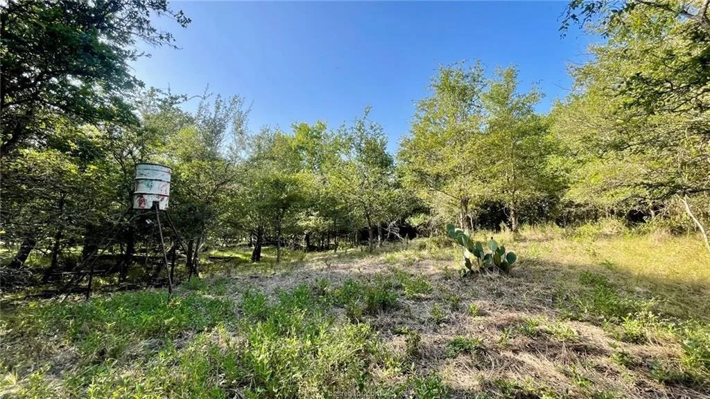Photo of 750 County Rd 206A (15.5 Acres)