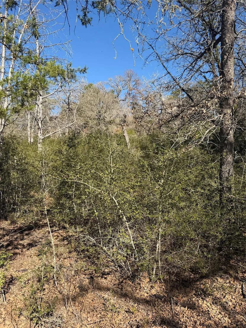 Photo of Lot 109 Wailupe CIR