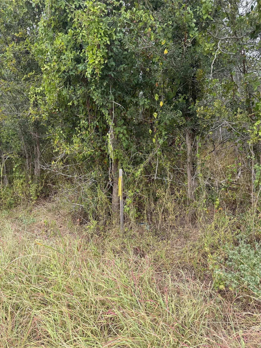 Photo of Lots 451, 452, 453 Heleakala DR