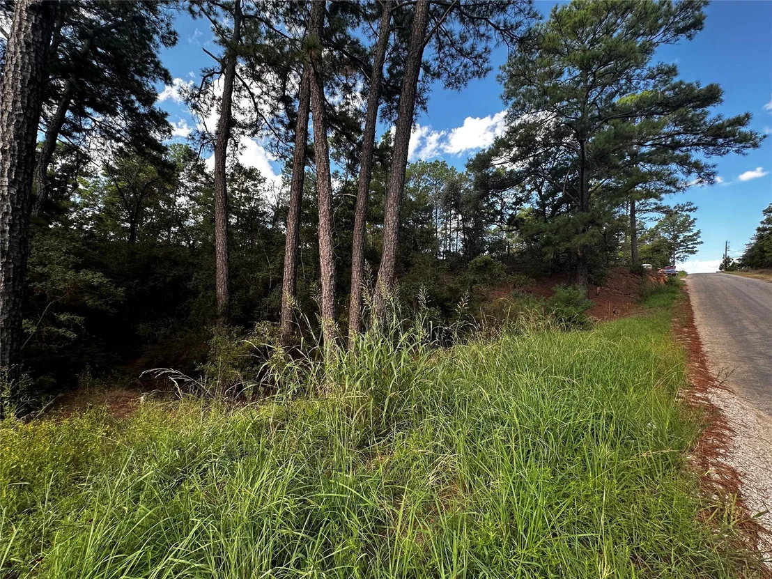 Photo of 145 Lamaloa DR