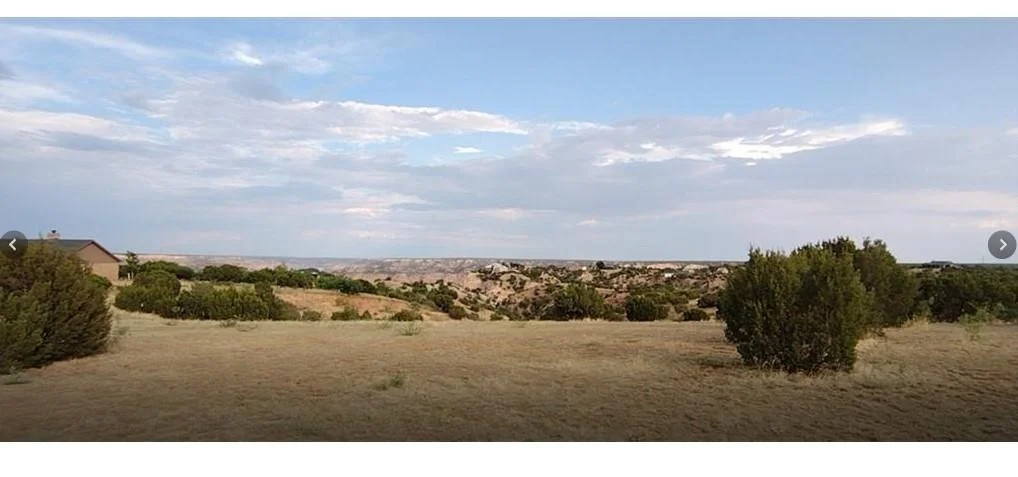 Photo of 10500 Indian Camp TRL