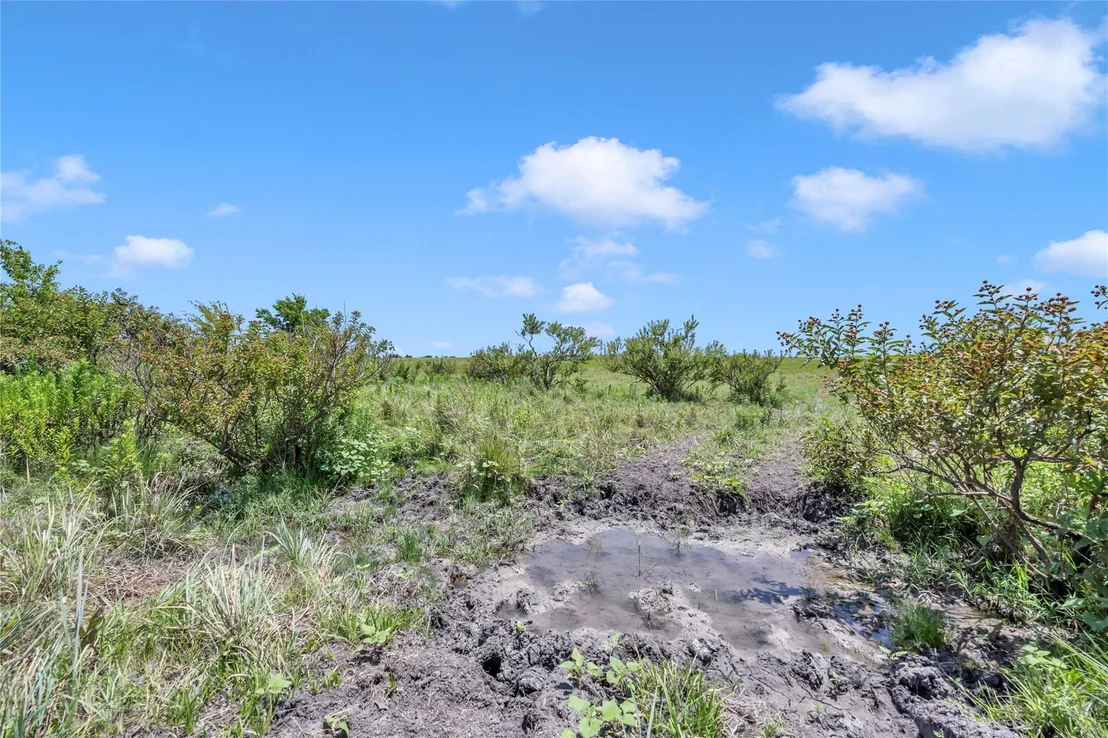 Photo of 10600 County Road 210 RD