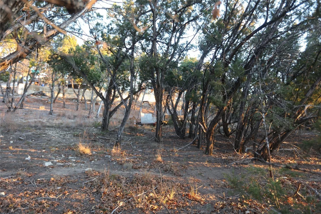 Photo of 7020 Live Oak DR