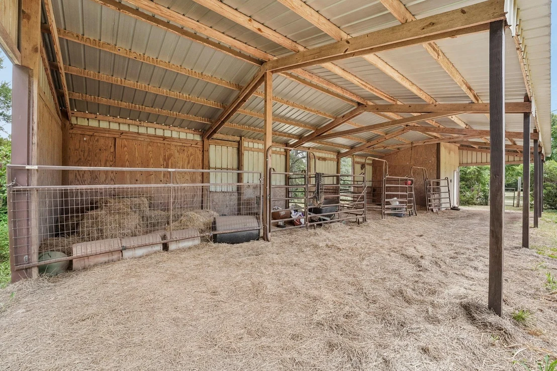 Photo of 115 Nasoni TRL