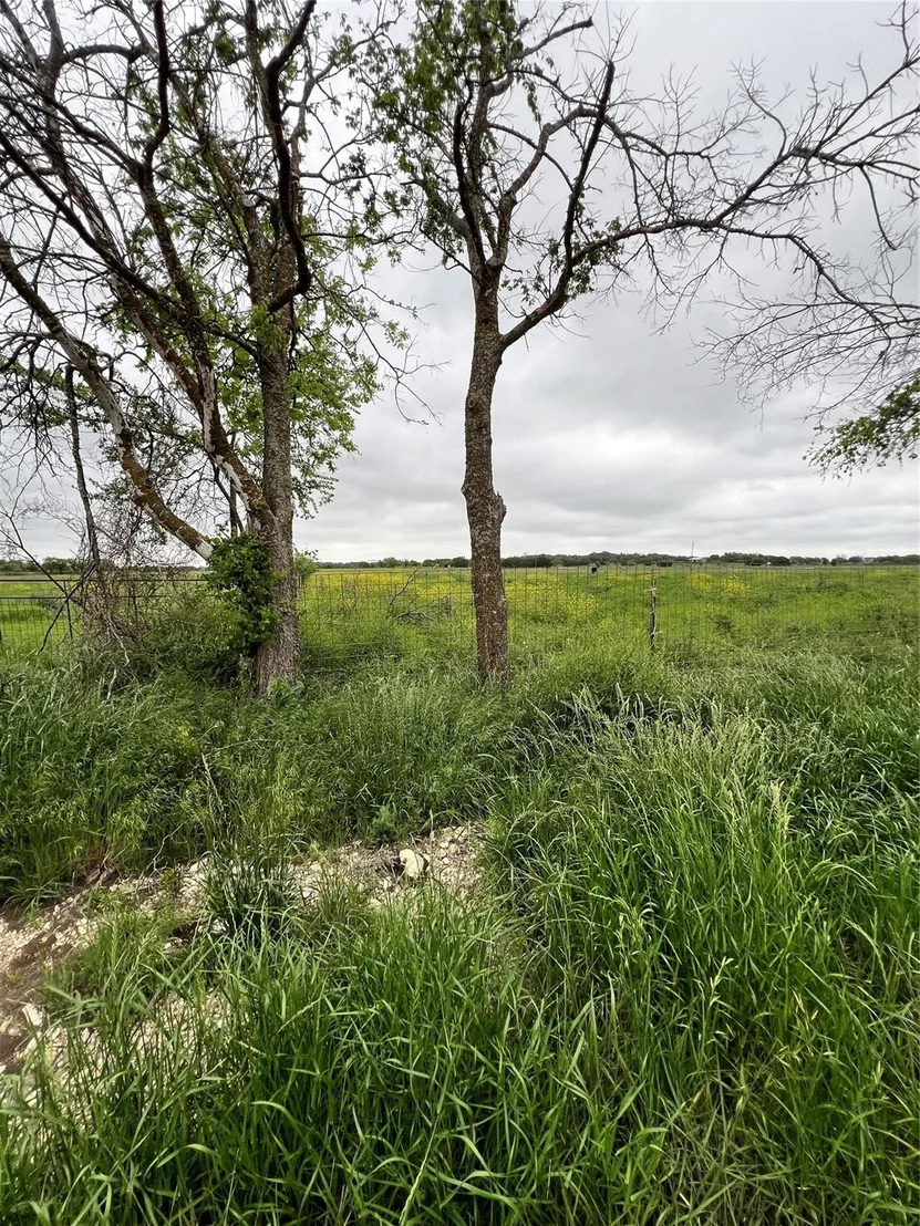 Photo of 850 County Rd 219