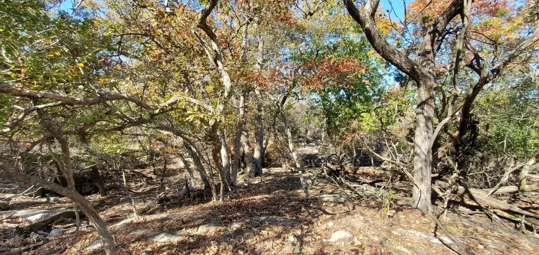 Photo of 5500 Cliff LN