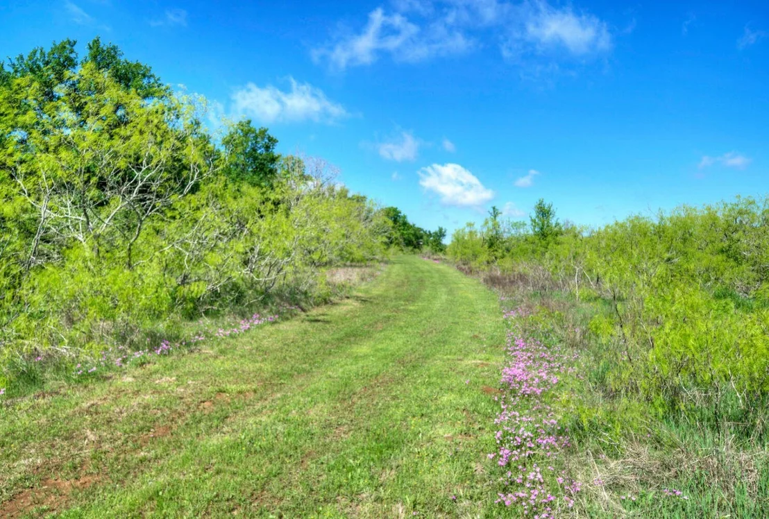 Photo of 4201 County Road 463