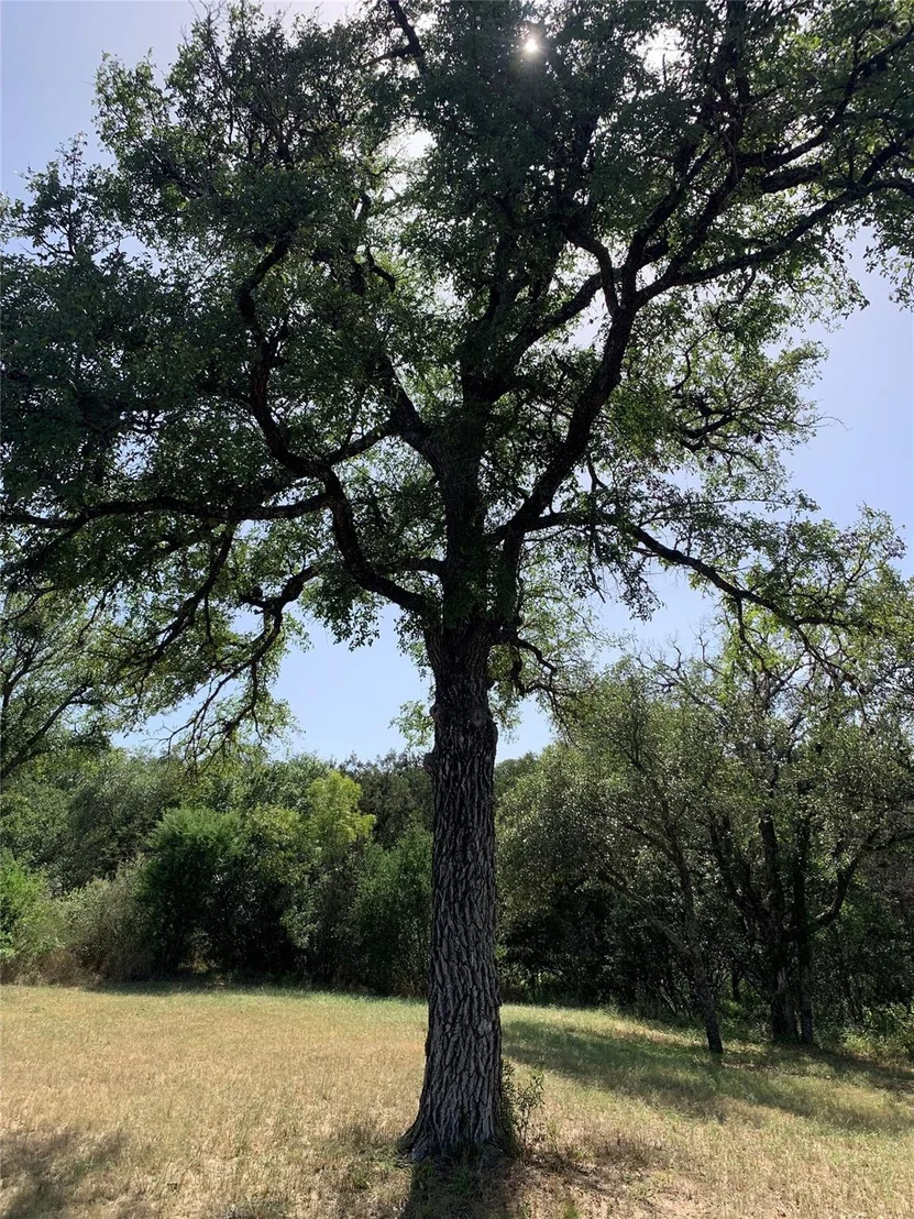 Photo of 504 CR 421A