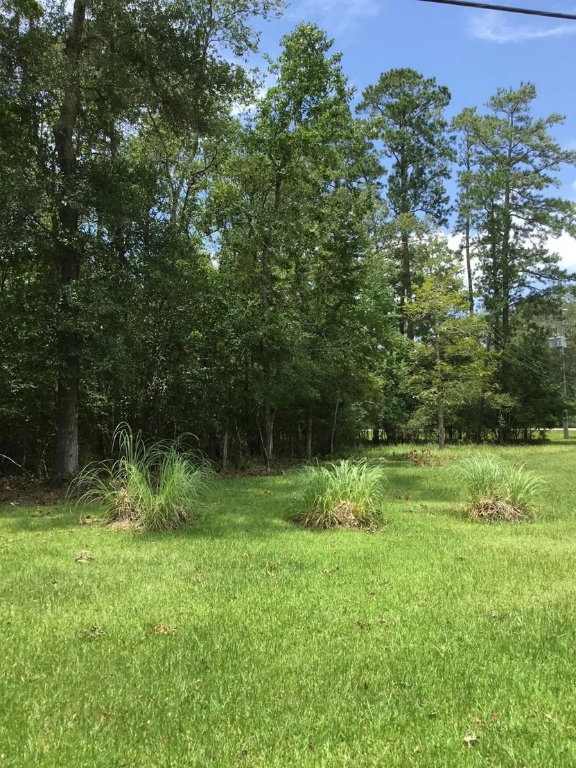 Photo of TBD Echo LN