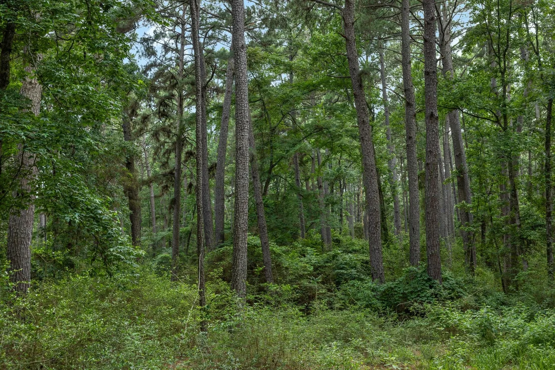 Photo of 5772 PR 2065