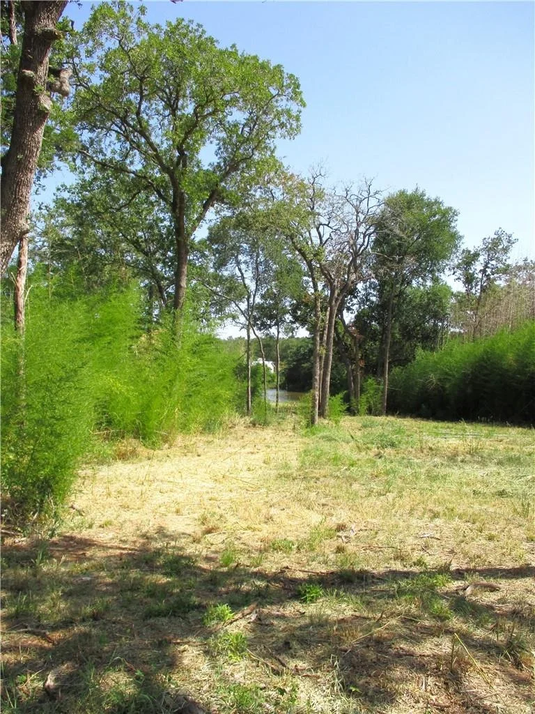 Photo of Lot 37 Moccasin Bend DR