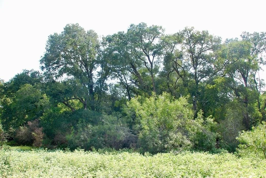 Photo of 9590 Maynard Hallmark RD