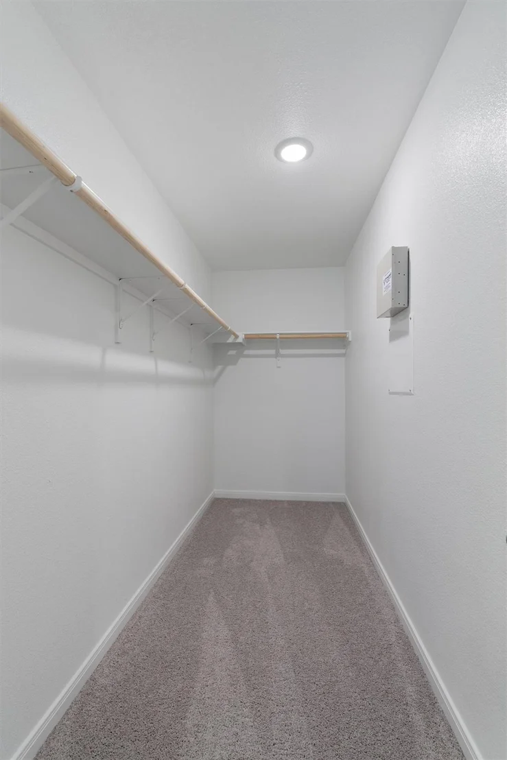 Photo of 320 Stellar Wind DR