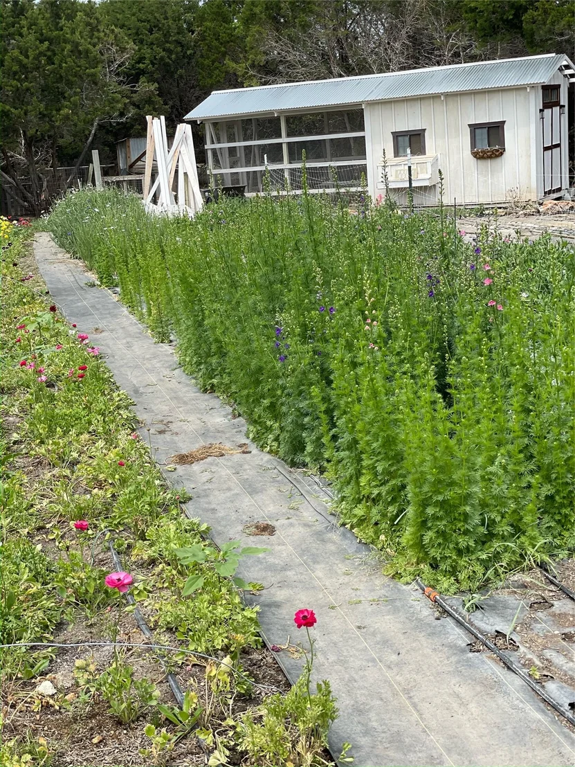 Photo of 250 Kothmann RD