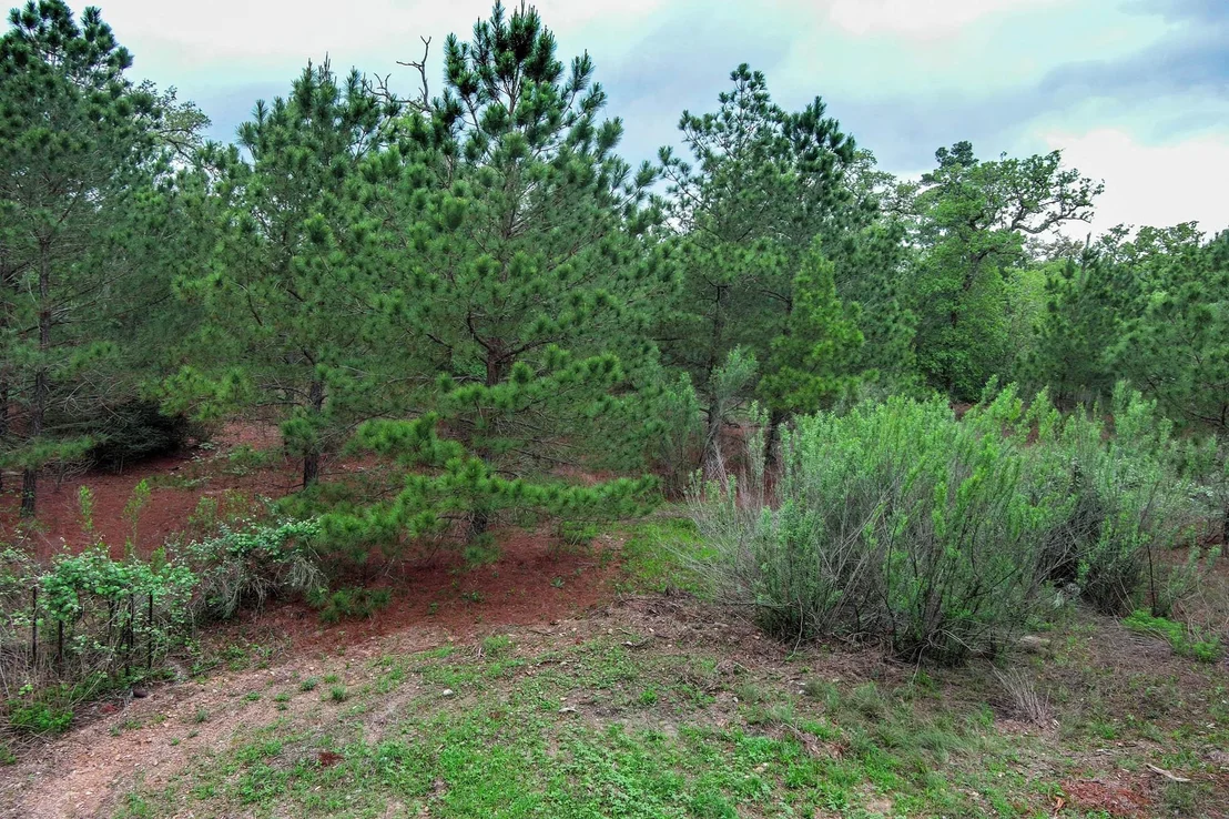 Photo of 172 Kelley RD
