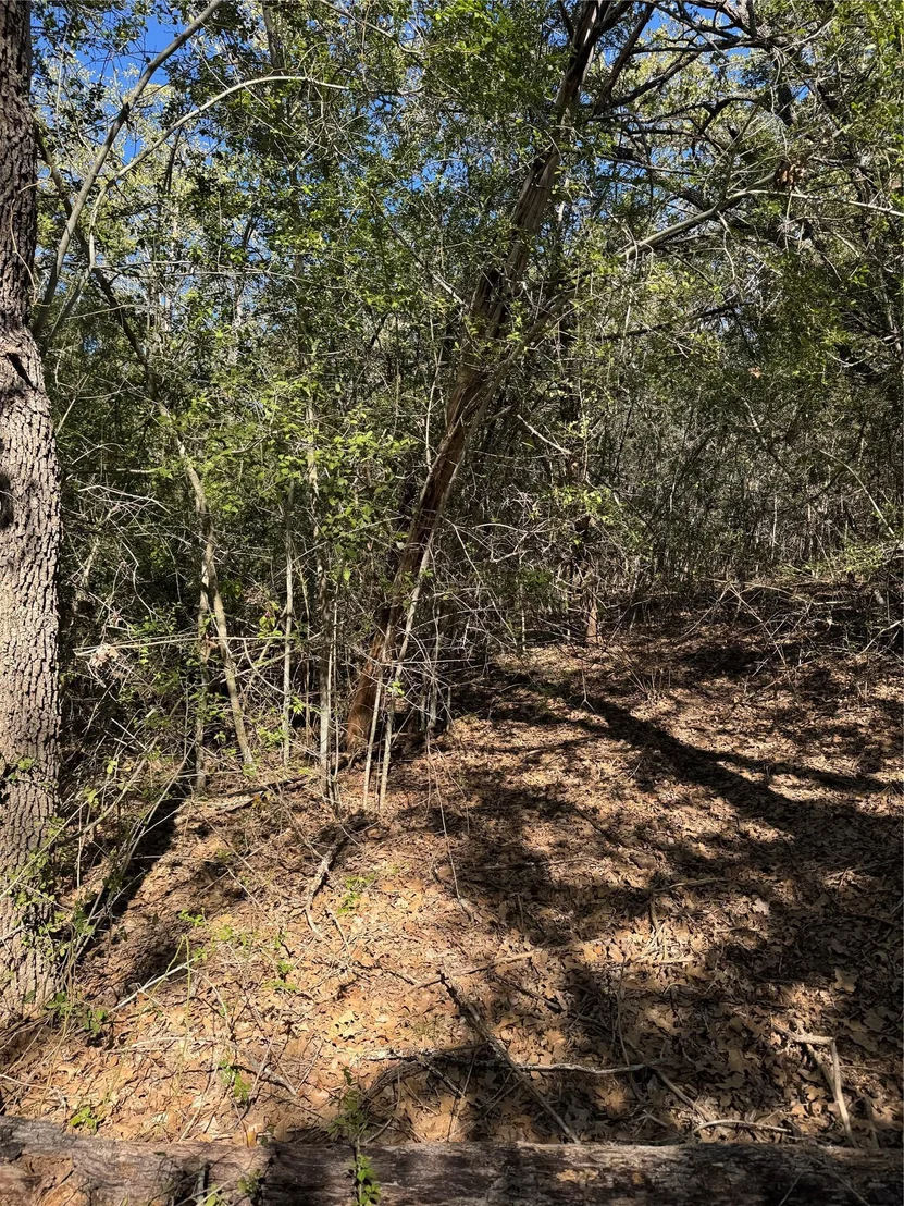 Photo of Lot 195 Kaelepulu DR