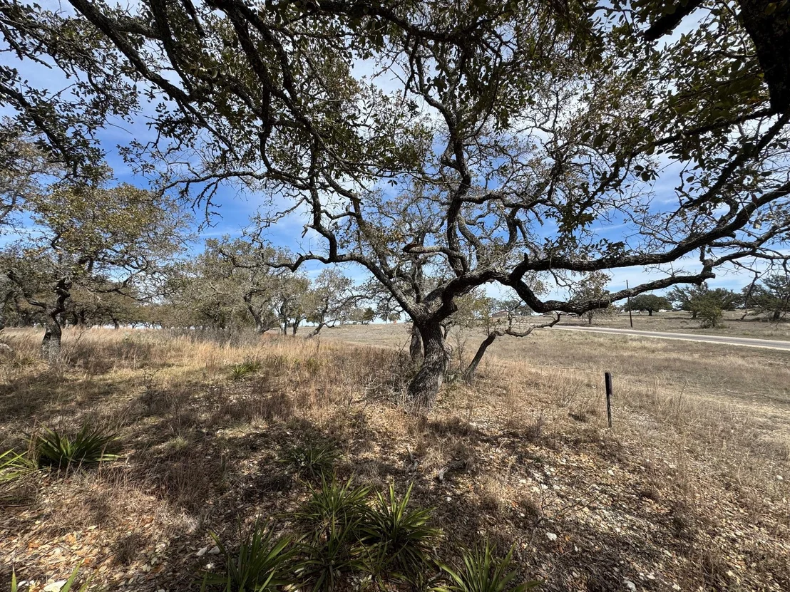 Photo of Lot 46 Eland LN
