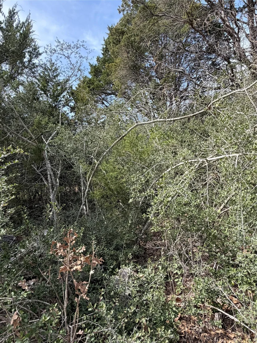 Photo of Lot 21 Flint Ridge ST