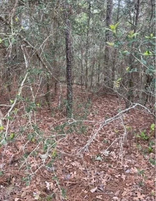Photo of Lot 345 Wainee DR