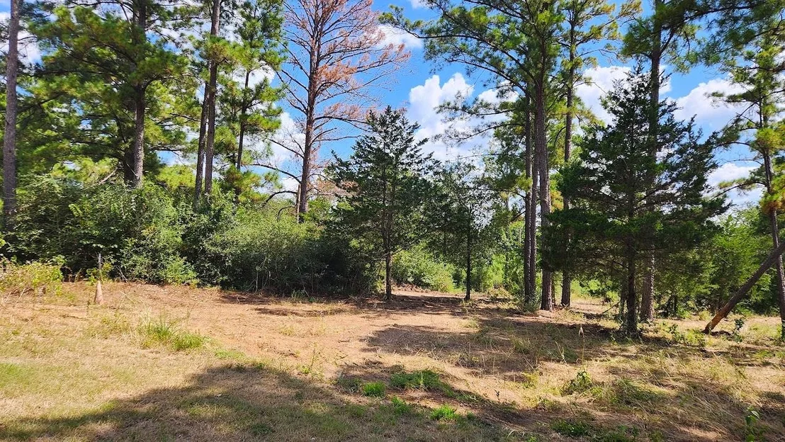 Photo of TBD Modock DR