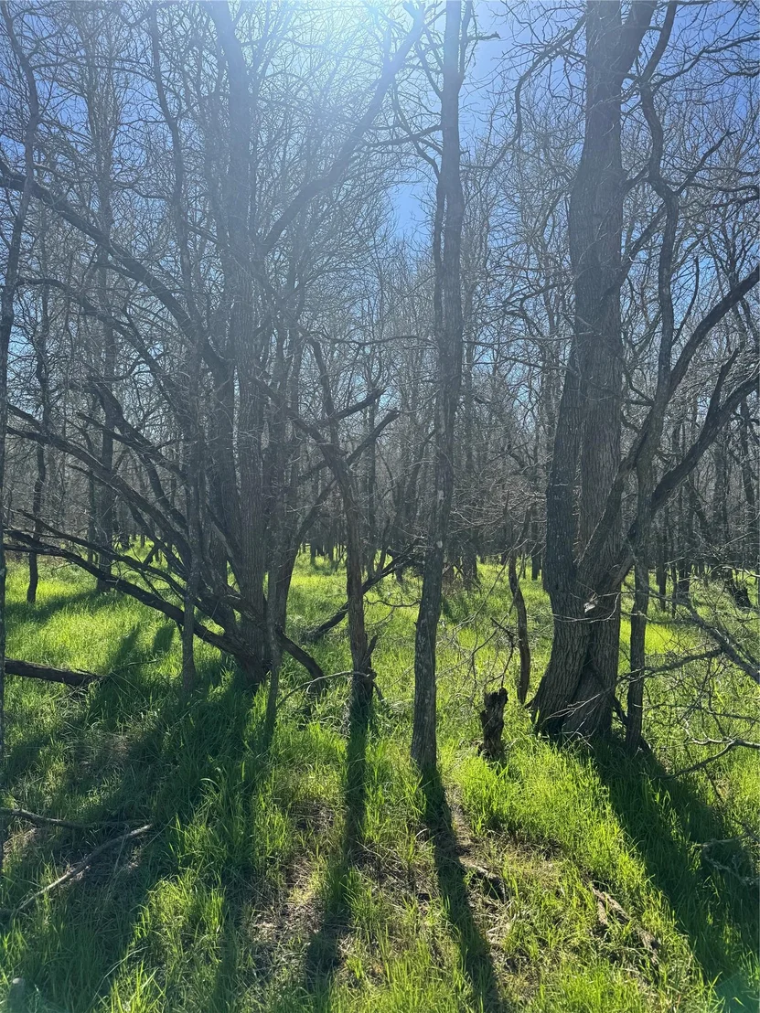 Photo of Lot 500 Kaaawa LN