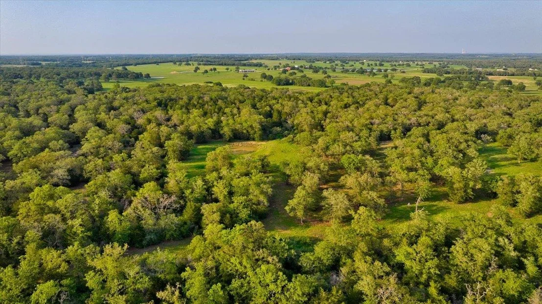 Photo of 2095 County Road 442