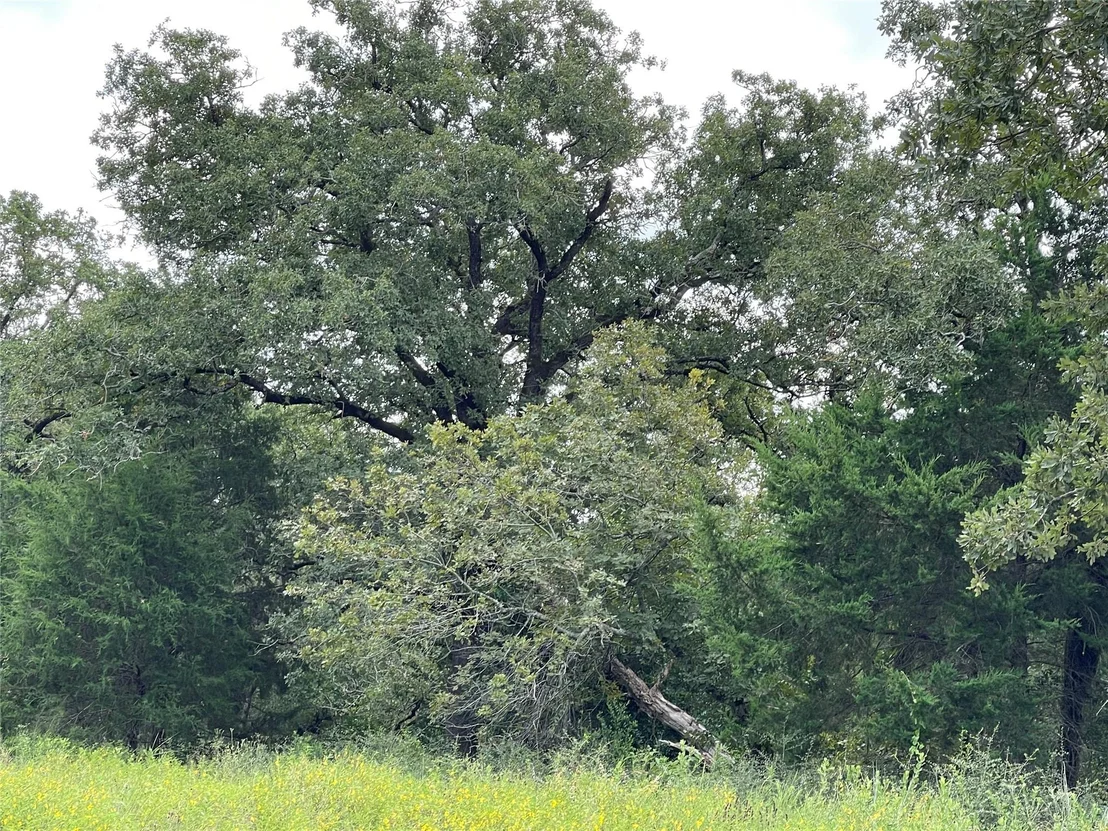 Photo of 1300 Cypress Trail LOOP