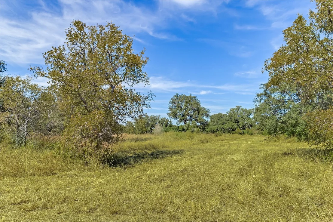 Photo of 241 Lehne LOOP