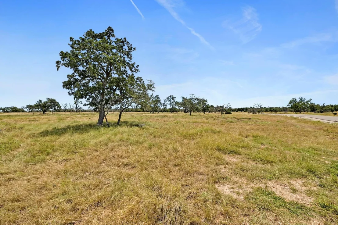 Photo of TBD Pack Saddle DR
