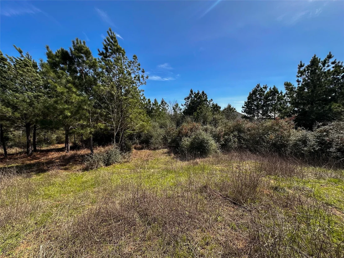 Photo of 161 Alele DR