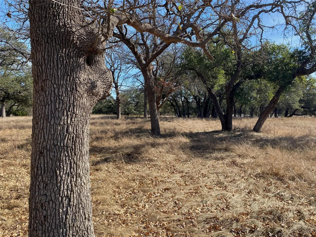 Photo of 304 Lightning Ranch PT