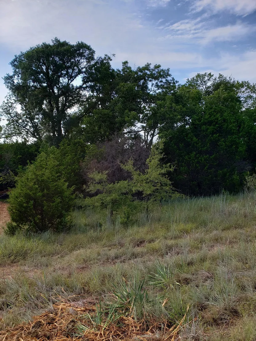 Photo of Lot 44 County Road 3640