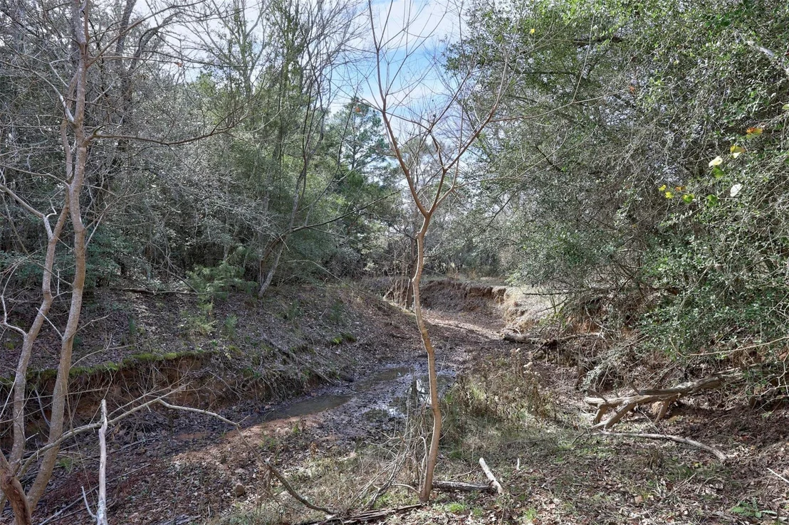 Photo of 888 Pine Valley LOOP