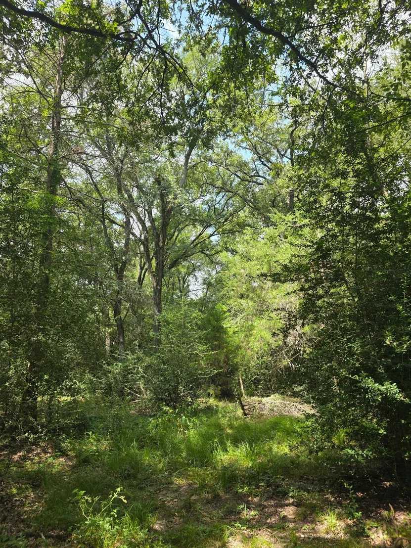 Photo of 11305 Cooper LN