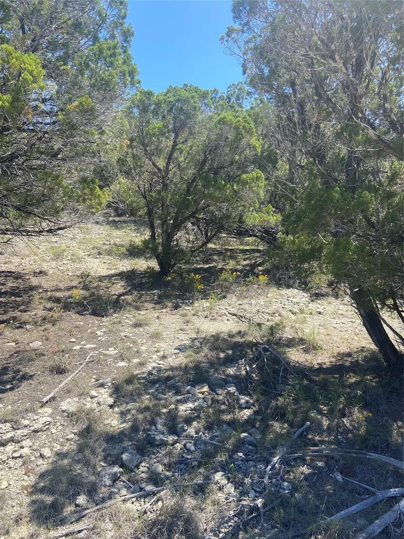 Photo of 20702 Appaloosa TRL