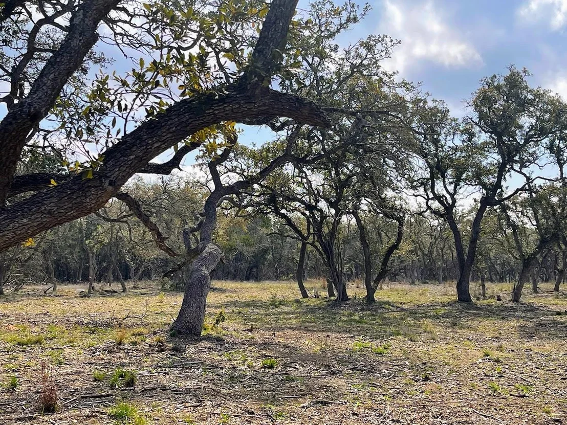 Photo of TBD Windmill Ridge DR