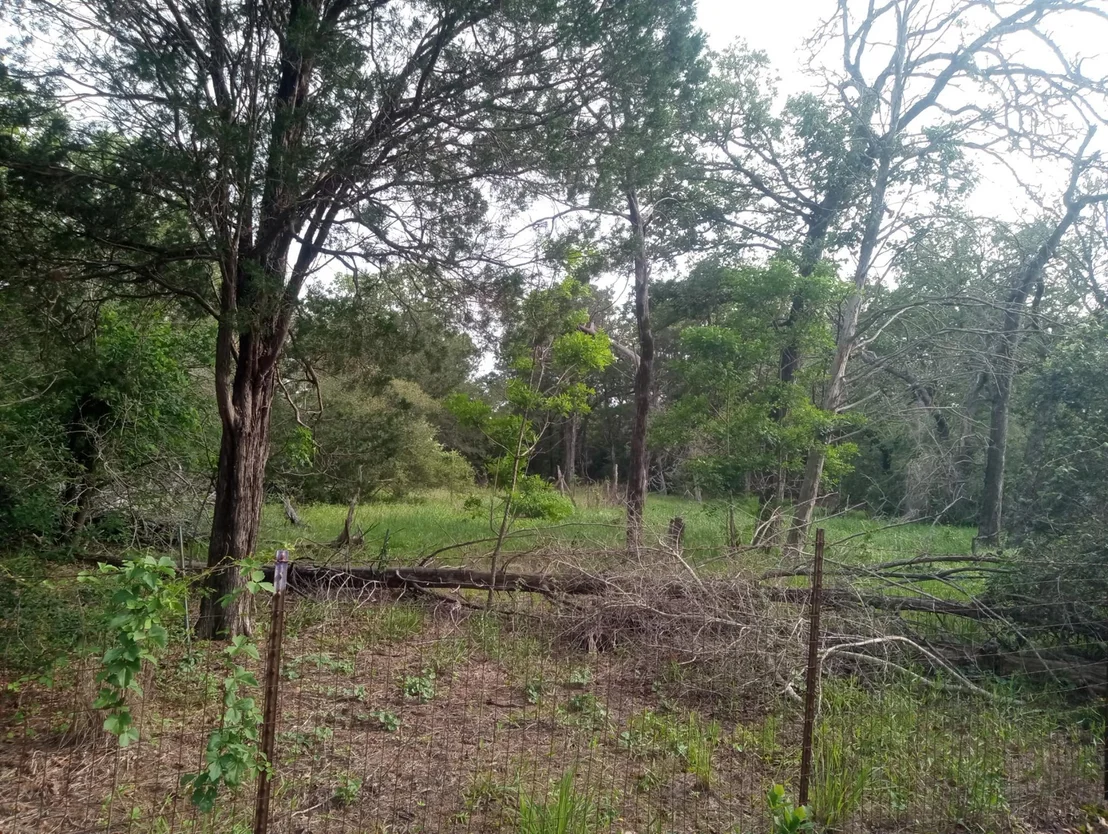 Photo of Unit LOT14A at 314 Green Oaks DR