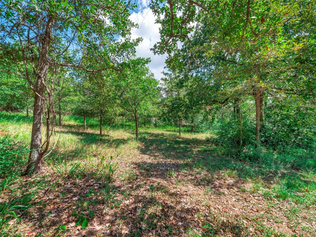 Photo of 180 Powell RD