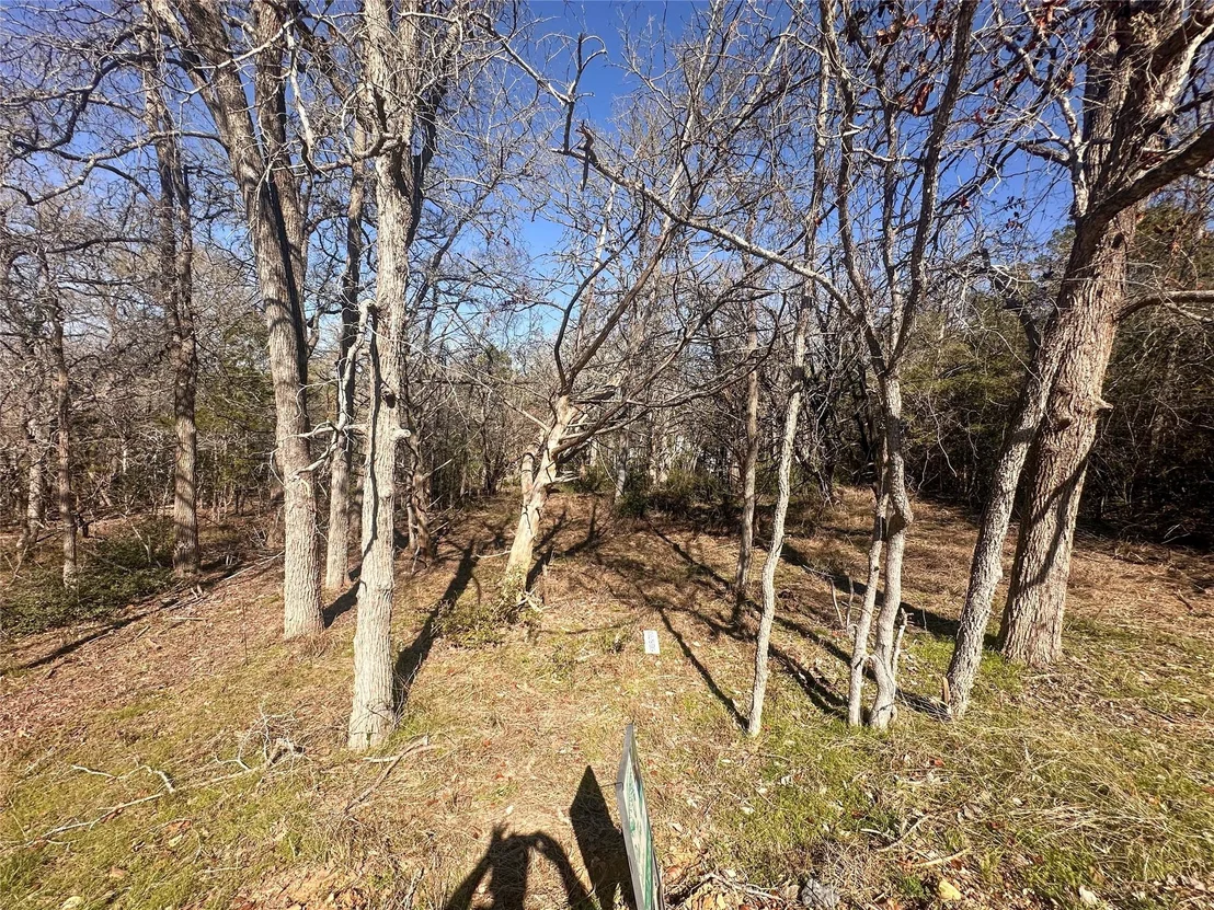 Photo of 250 Iva LN