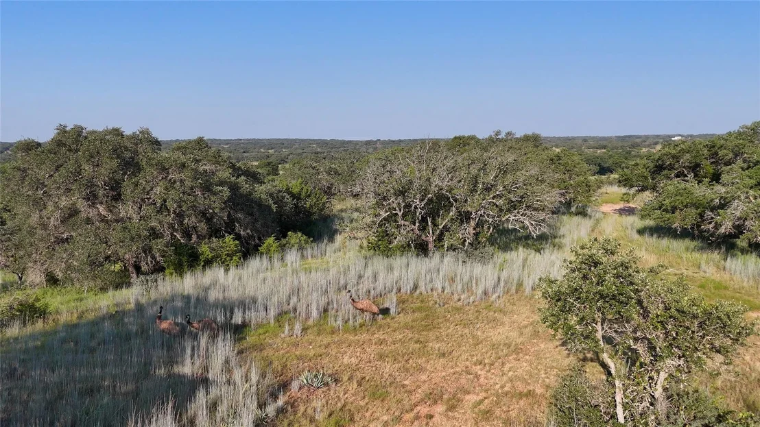 Photo of 680 County Road 549