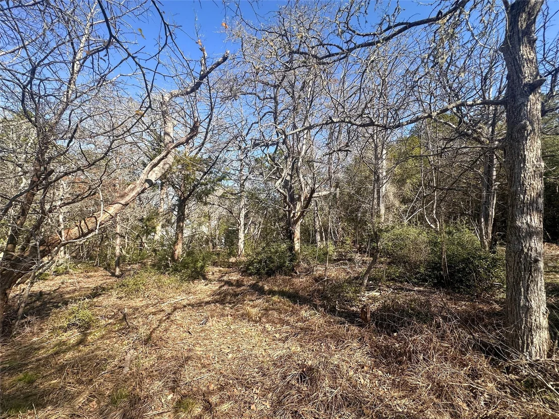 Photo of 250 Iva LN